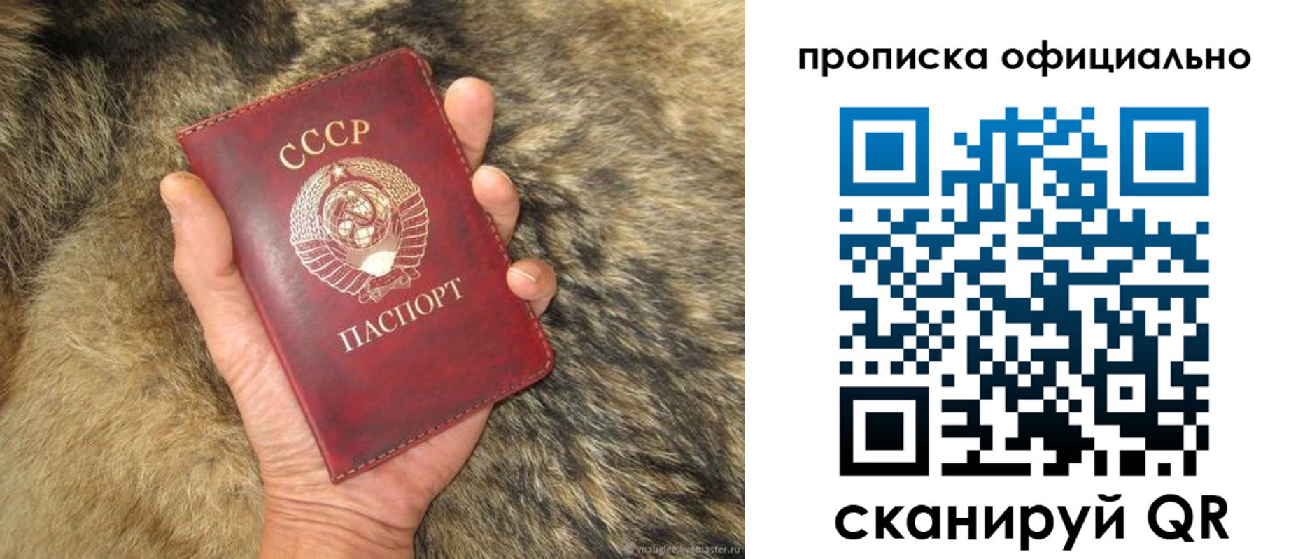 купить прописку в Торжоке